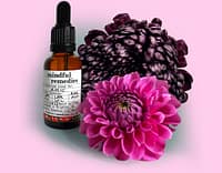 mindful remedies personalised bach flower remedies