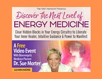 sue morter discover the next level of energy medicine