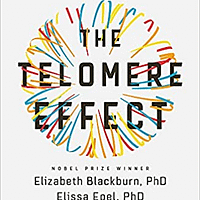 the telomere effect elizabeth blackburn and elissa epel
