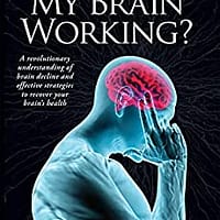 dr datis kharrazian why isnt my brain working book