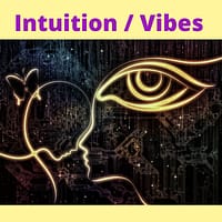 INTUITION / VIBES