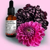 mindful remedies personalised bach flower remedies