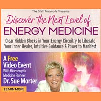 sue morter discover the next level of energy medicine
