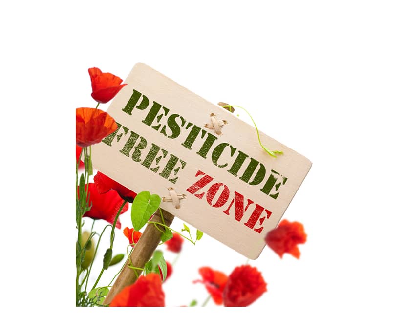 pesticide free zone sign