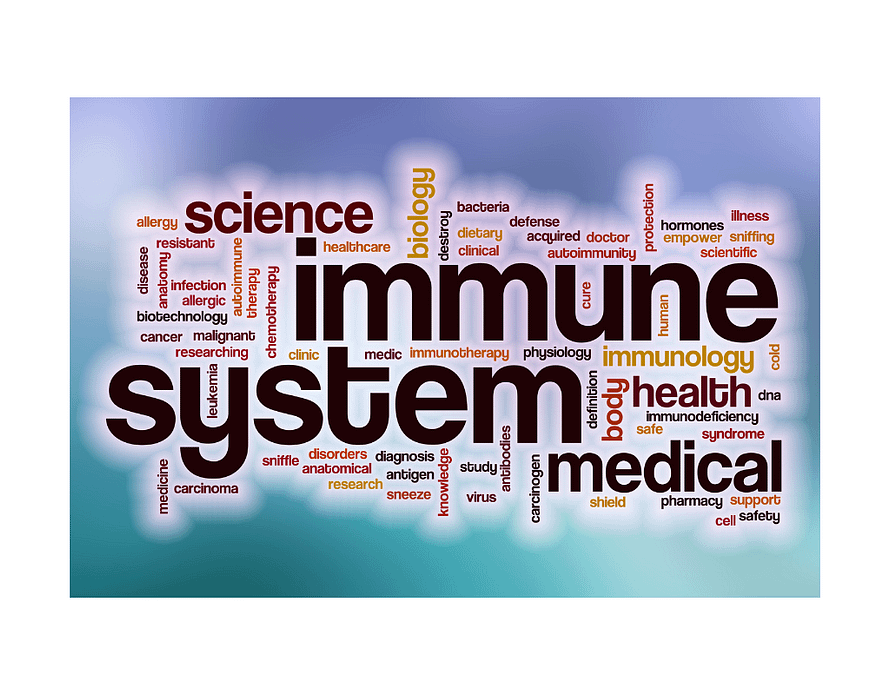 immune system block of words relating to immunity